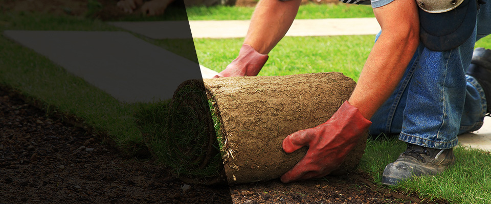 Horse Cave Landscapers